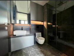 Irwell Hill Residences (D9), Apartment #473420321